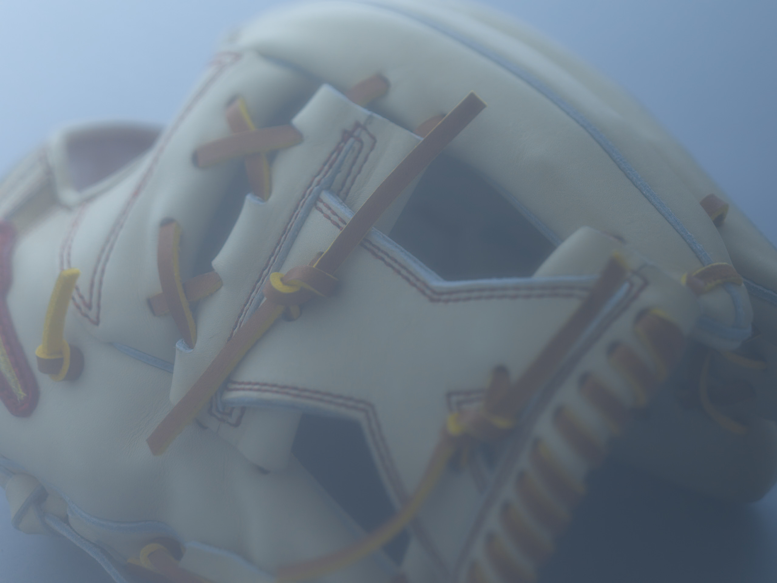 グローブ
