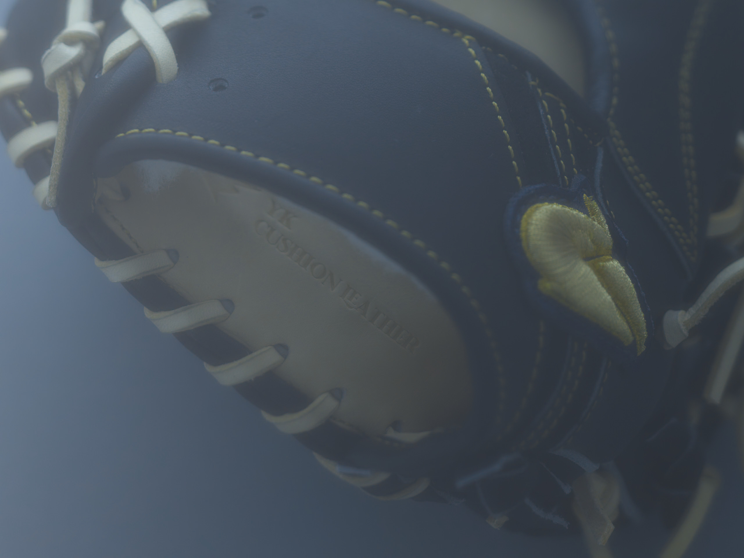 グローブ